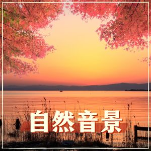 自然音景：舒缓的环境音乐，大自然器乐歌曲