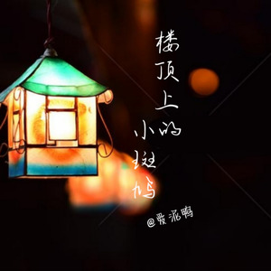 爱泥鸭 - 楼顶上的小斑鸠 (Demo)