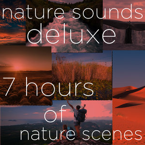 Nature Sounds Deluxe - 7 Hours of Nature Scenes: Water, Sunset, Everglades, Whales, Outback, Mountain, And Desert for Massage, Yoga, Relaxation, And Meditiation!