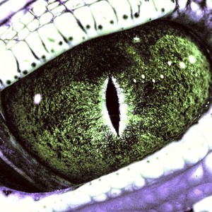 ОТРАВА (Prod. By WASD) (Explicit)