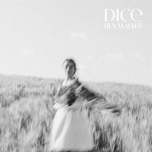 Dice