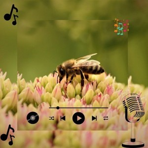 Kelvon Morzik (Original Mix)