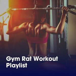 Gym Rat Workout Playlist