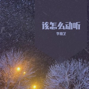该怎么动听