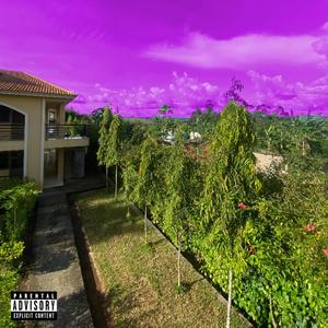 VUL (feat. Rocky Savage) (Explicit)