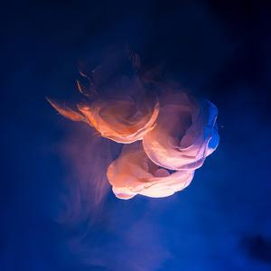 Slowly Awaken (Rebirth)