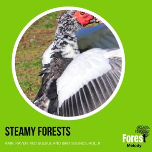 Steamy Forests - Rain, Raven, Red Bulbul and Bird Sounds, Vol. 8