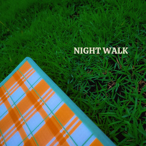 밤산책 (NIGHT WALK) (Explicit)