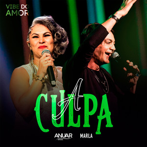 A Culpa (Vibe do Amor)