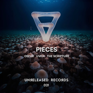 Pieces (Extended Mix)