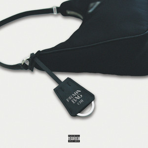 PRADA BAG (Explicit)