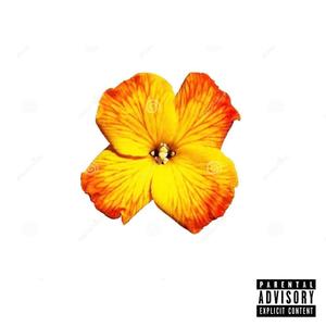 Wallflower (Explicit)
