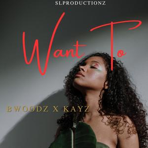 Want To (feat. KAYZ) [Explicit]