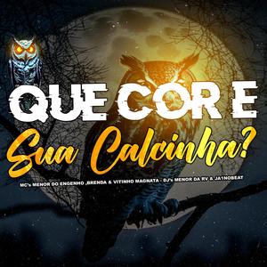 Que Cor e Tua Calcinha (feat. Ja1NoBeat, Mc Menor Do Engenho, Mc Vitinho Magnata & Mc Brenda)