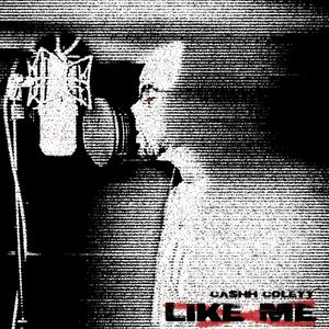 Like Me (Explicit)