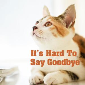 It's Hard To Say Goodbye