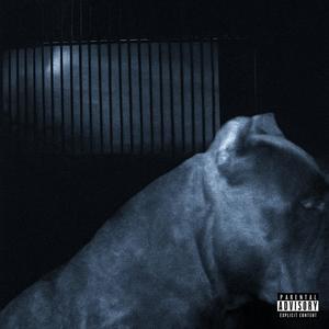 feels surreal (feat. 2raqz) (Explicit)