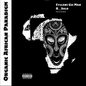 Organic African Paradigm (feat. B' SOLO SA) [Explicit]