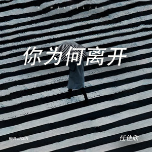你为何离开