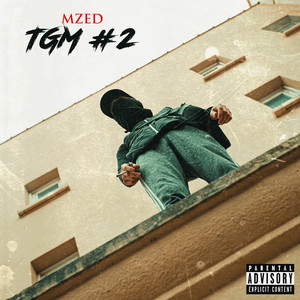 TGM #2 (Explicit)