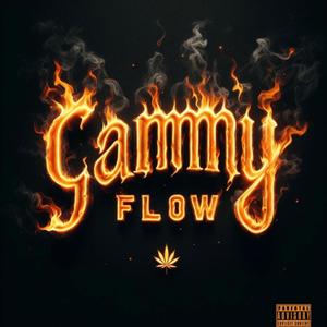 Cammy Flow (Explicit)