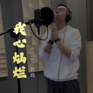 我心灿烂