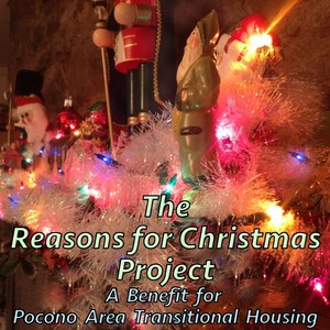 The Reasons for Christmas Project