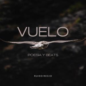 Vuelo (Poesía y Beats) Disco Completo.