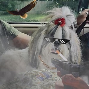 Dog 4 (Explicit)