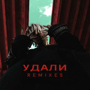 Удали (Remixes)