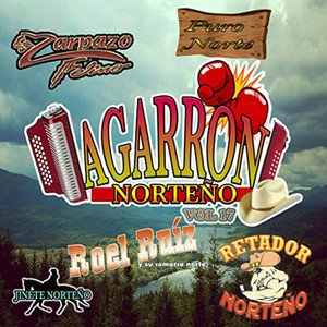 Agarron Norteño Vol 17