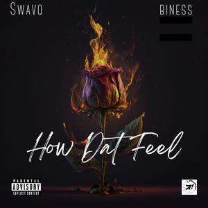 How Dat Feel (feat. Biness) (Explicit)