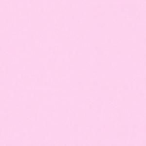 PRADA MY BAG(feat. Punk Nova & KYL0) (Explicit)