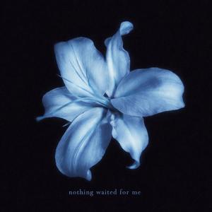 nothing waited for me