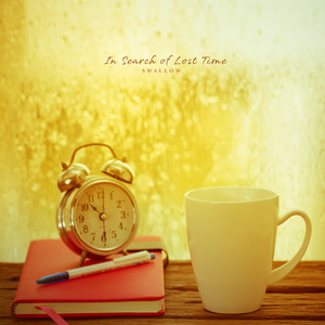 잃어버린 시간을 찾아서 (Finding the Lost Time)