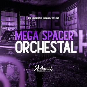 Mega Spacer Orchestal (Explicit)