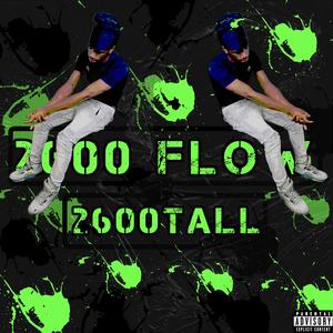 2600 Flow (Explicit)