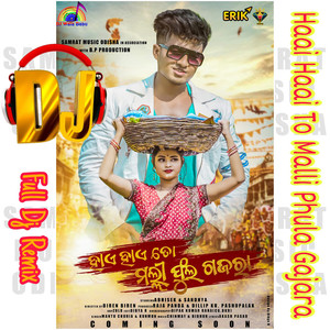 Haai Haai To Malli Phula Gajara DJ Remix