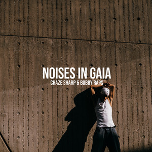 Noises in Gaia