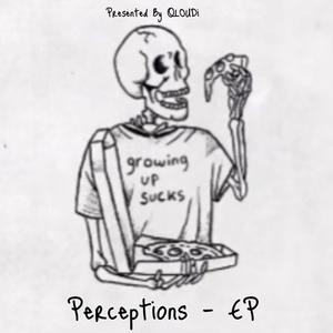 Perceptions (Explicit)