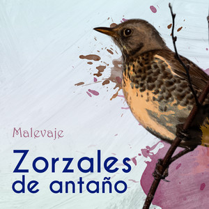 Zorzales de Antaño…Malevaje