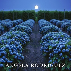 Teleporting Sugar Cube on the Dashboard