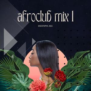 Afroclub Mix 1 (Discotopya 2022)