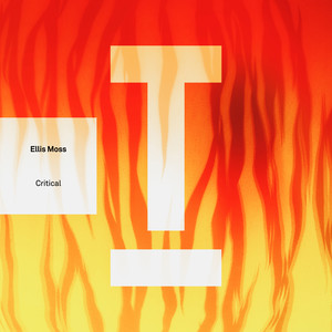 Critical (Extended Mix)