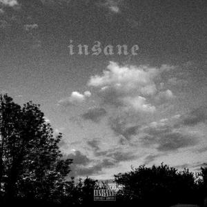 Insane (Explicit)