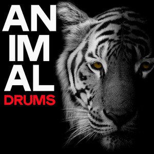 Animal Drums (Sensation House Music 2020)