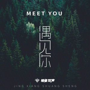 遇见你 (合唱版)