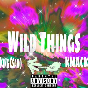 Wild Things (Explicit)