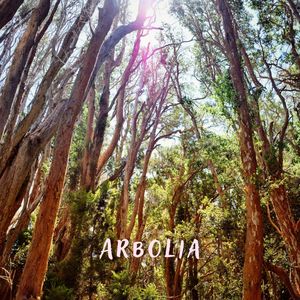 Arbolia