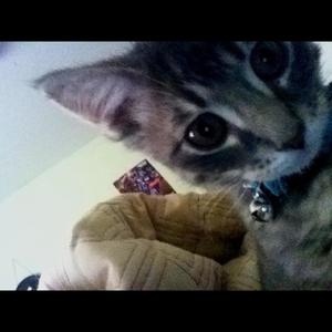 #swaggcitizen (Explicit)